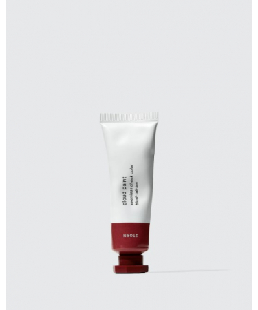 Румяна GLOSSIER Cloud Paint Storm