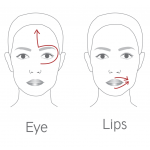 The Contour PRO DR.LEVY