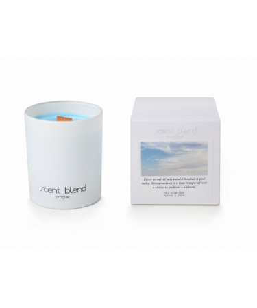 Svíčka Nezapomínej si v tom tempu užívat Fíky a vetiver Scent Blend