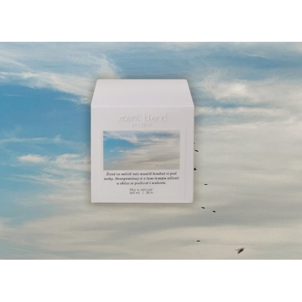 Svíčka Nezapomínej si v tom tempu užívat Fíky a vetiver Scent Blend